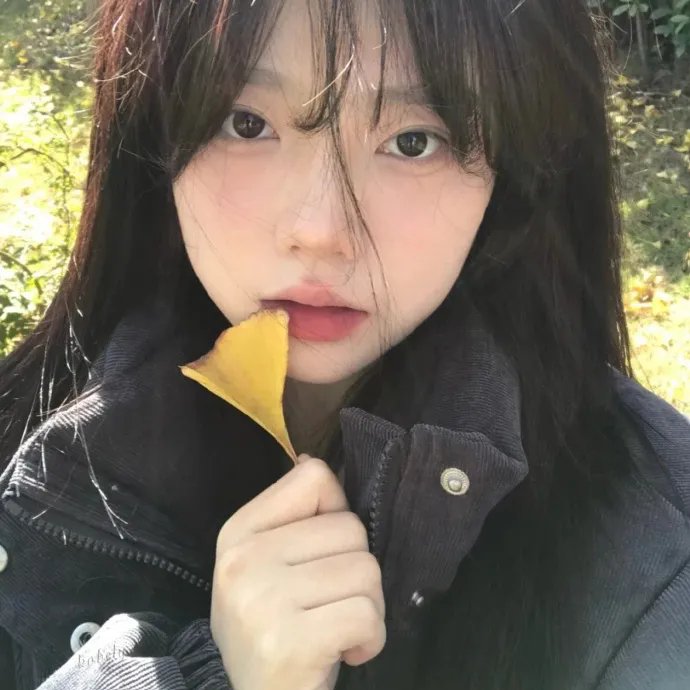 甲虫村 第三季